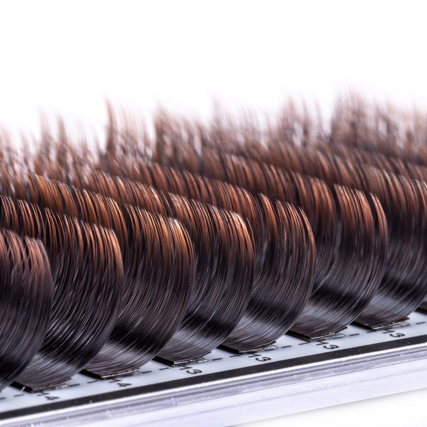 Two Toned Brown Colored Lashes - Volume 0.07 Diameter Mixed - Aki Lashes