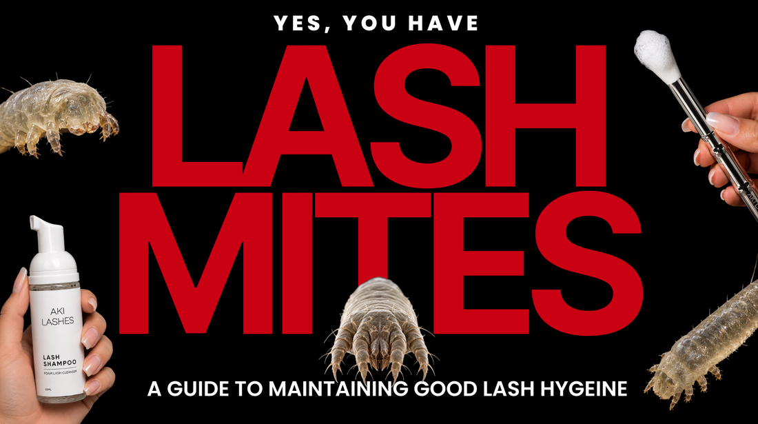 Yes, you have lash mites. Here's the proper care to keep them in check.