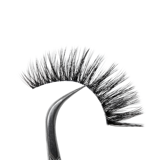 PL Strip Lashes