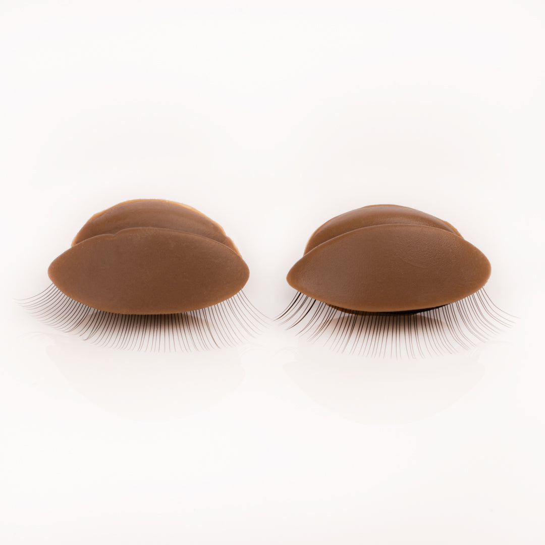 Training Eyelids - Aki Lashes