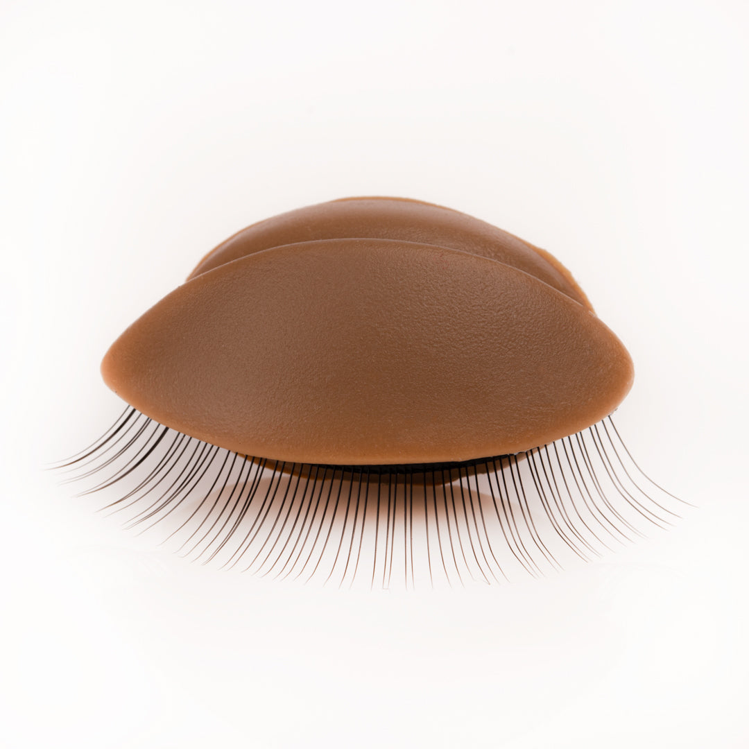 Training Eyelids - Aki Lashes