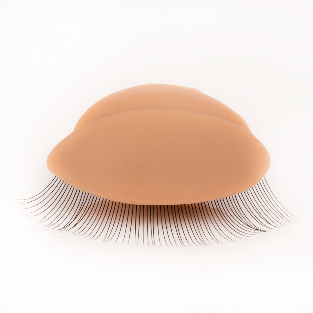 Training Eyelids - Aki Lashes
