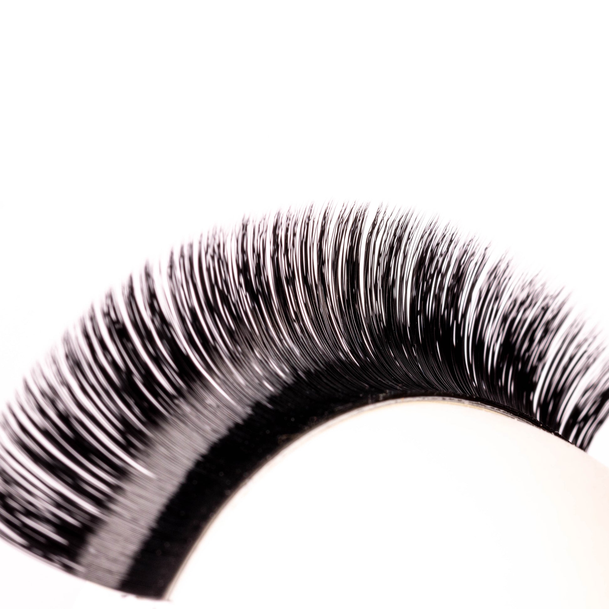 Smart Russian 0.03 Mixed Volume Lashes - Aki Lashes